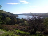 View from the stone picnic table