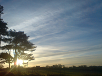 Sunrise search