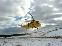 Big, yellow, paraffin-powered budgie